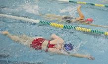 SwimFit2 SwimFit2